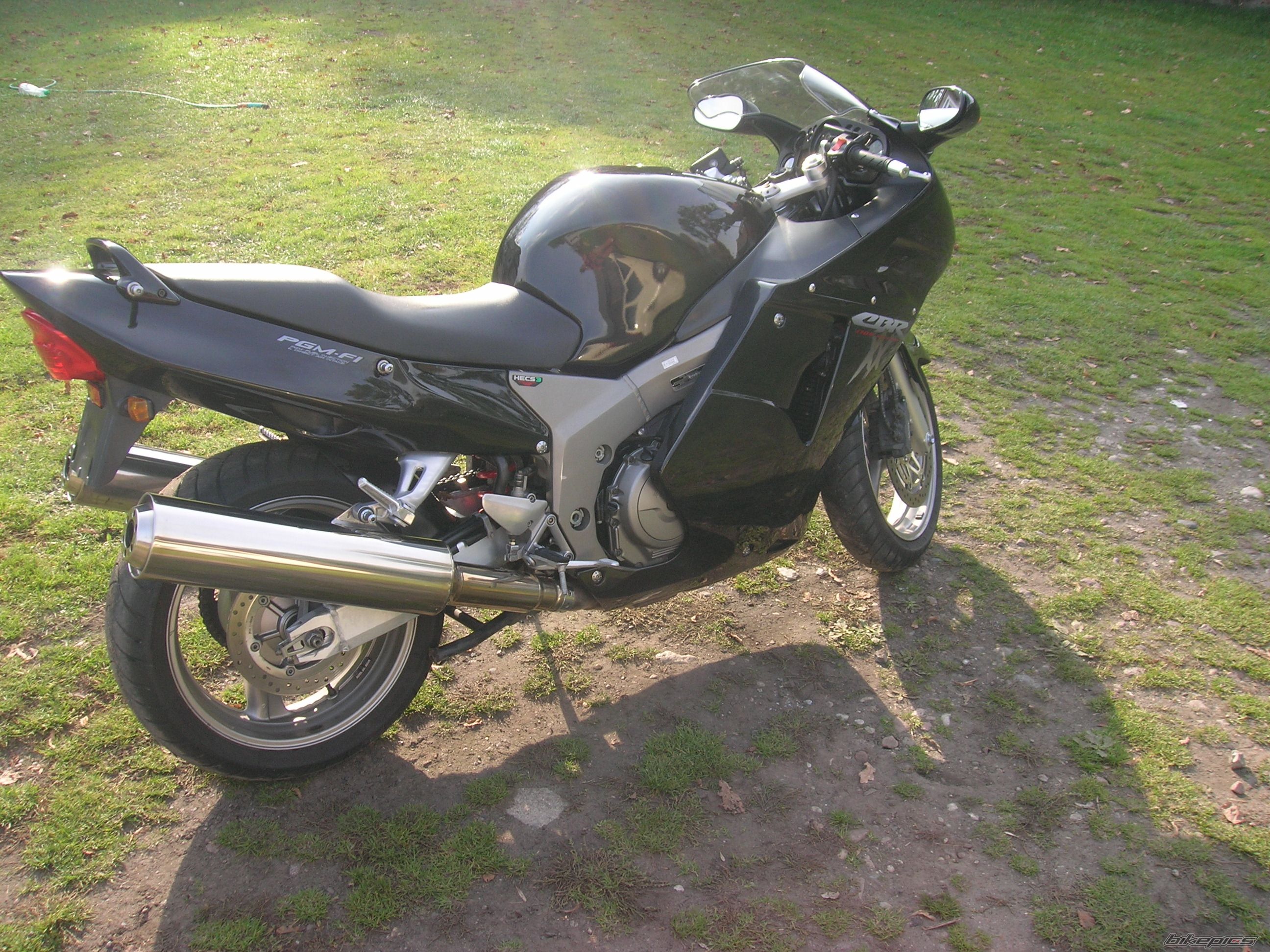 Photo 1076370
