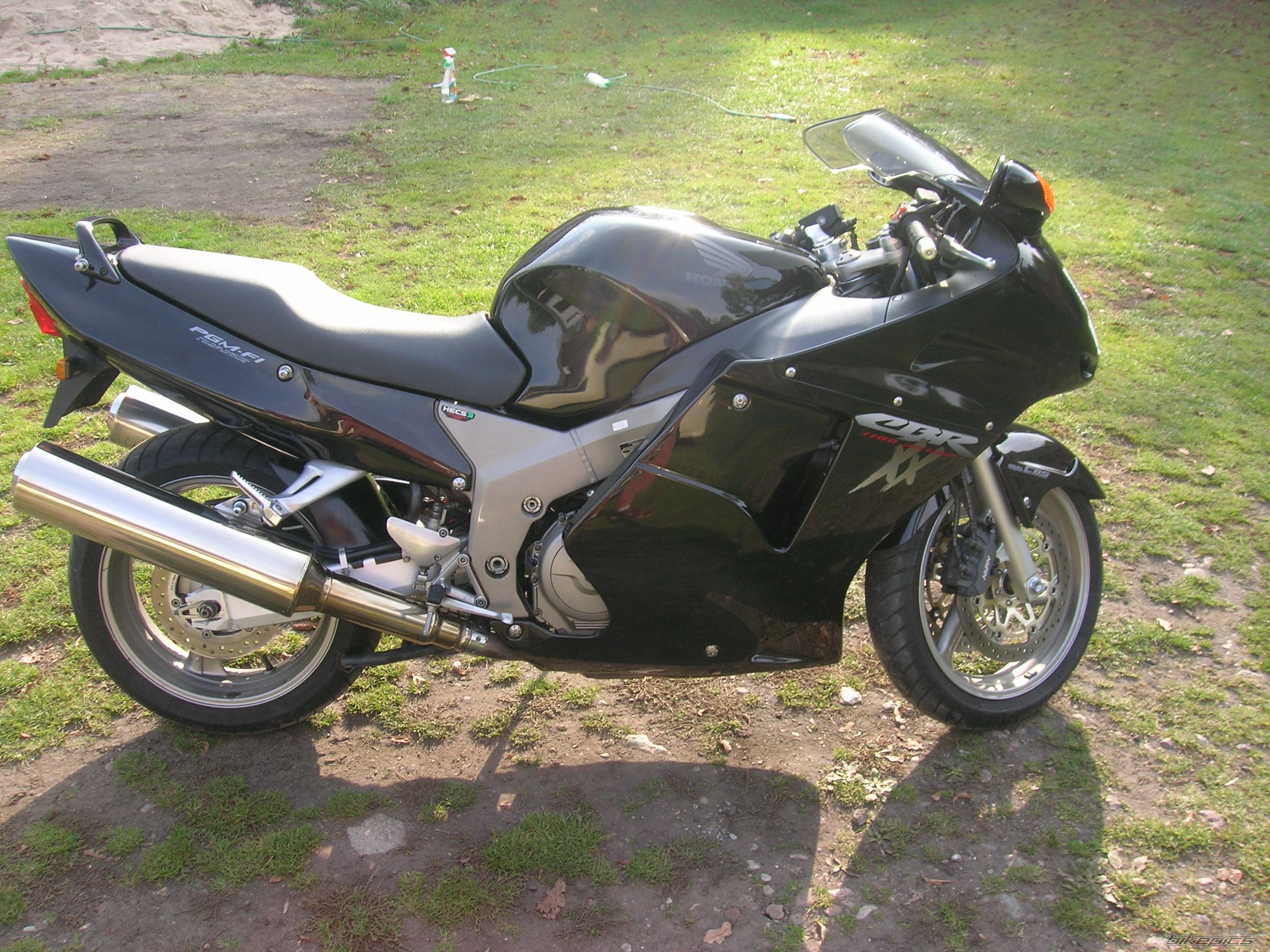 Photo 1076372