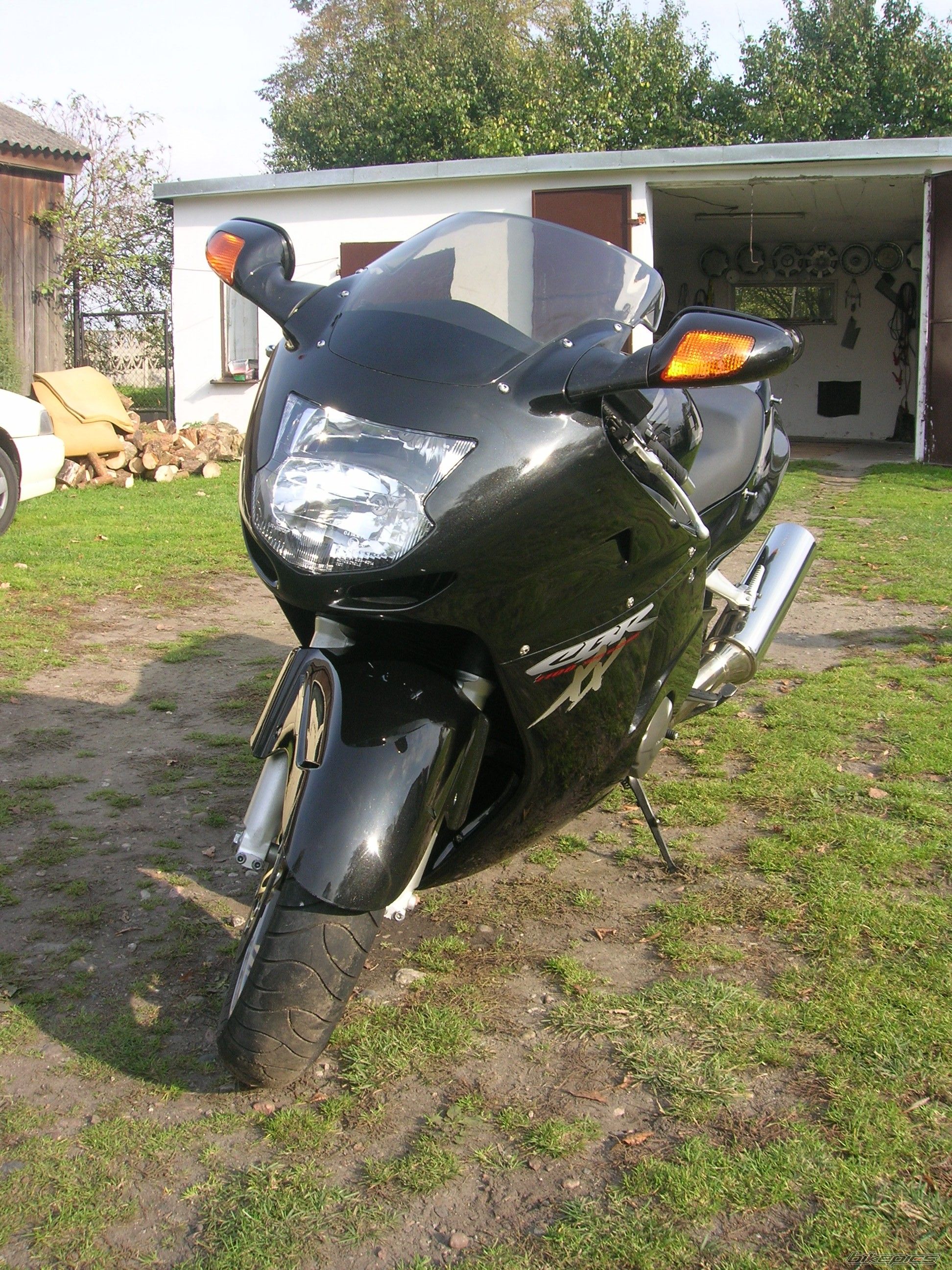 Photo 1076377