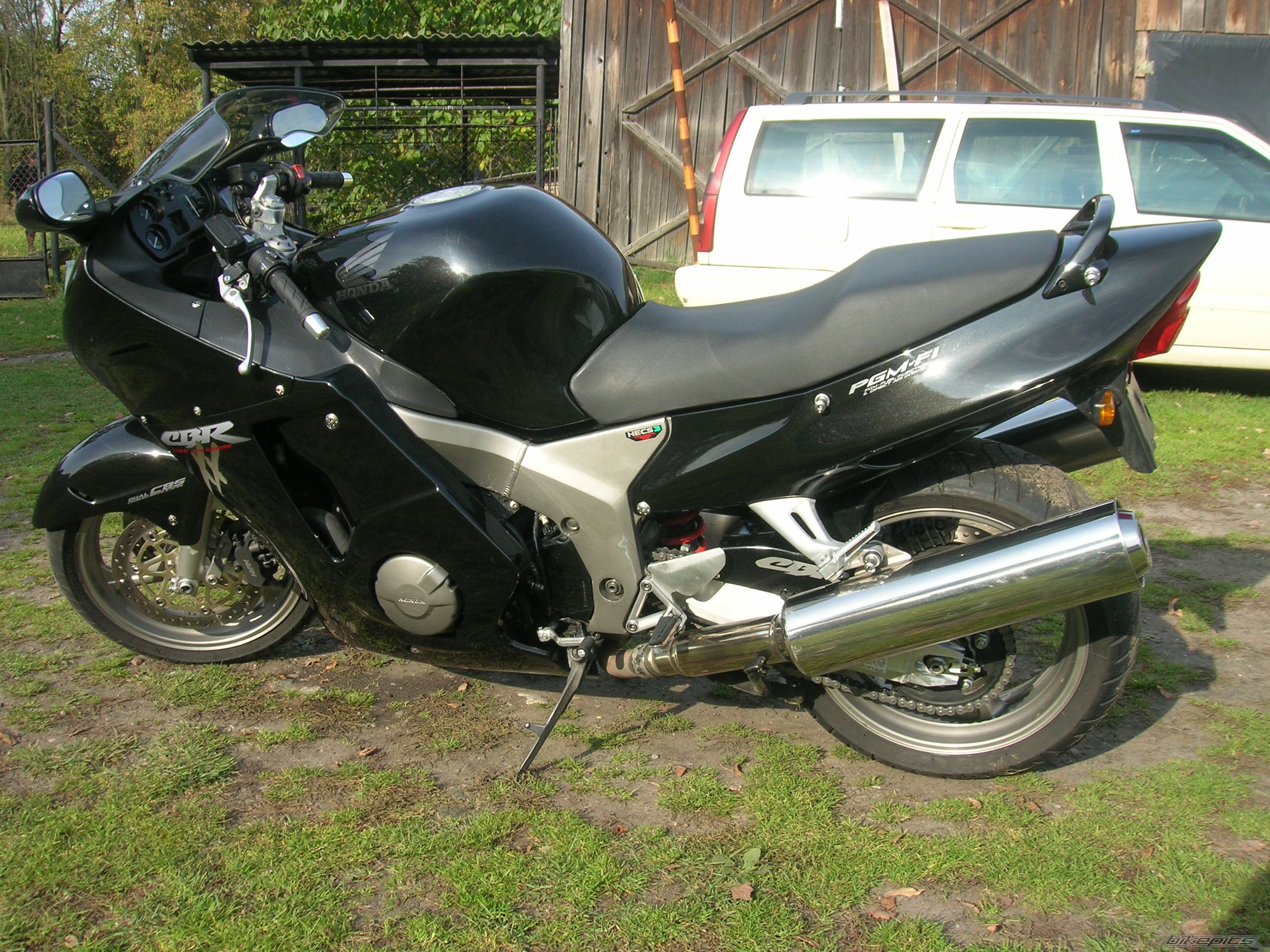 Photo 1076383