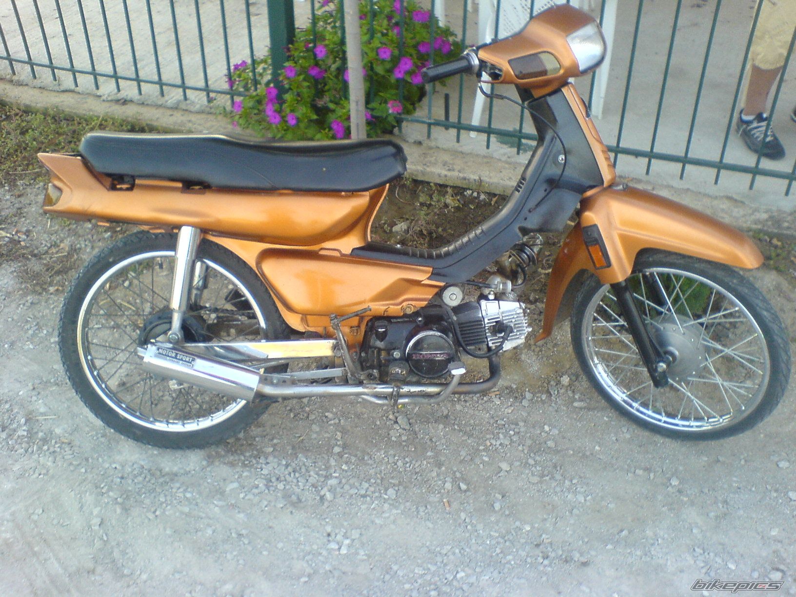 Photo 1076503