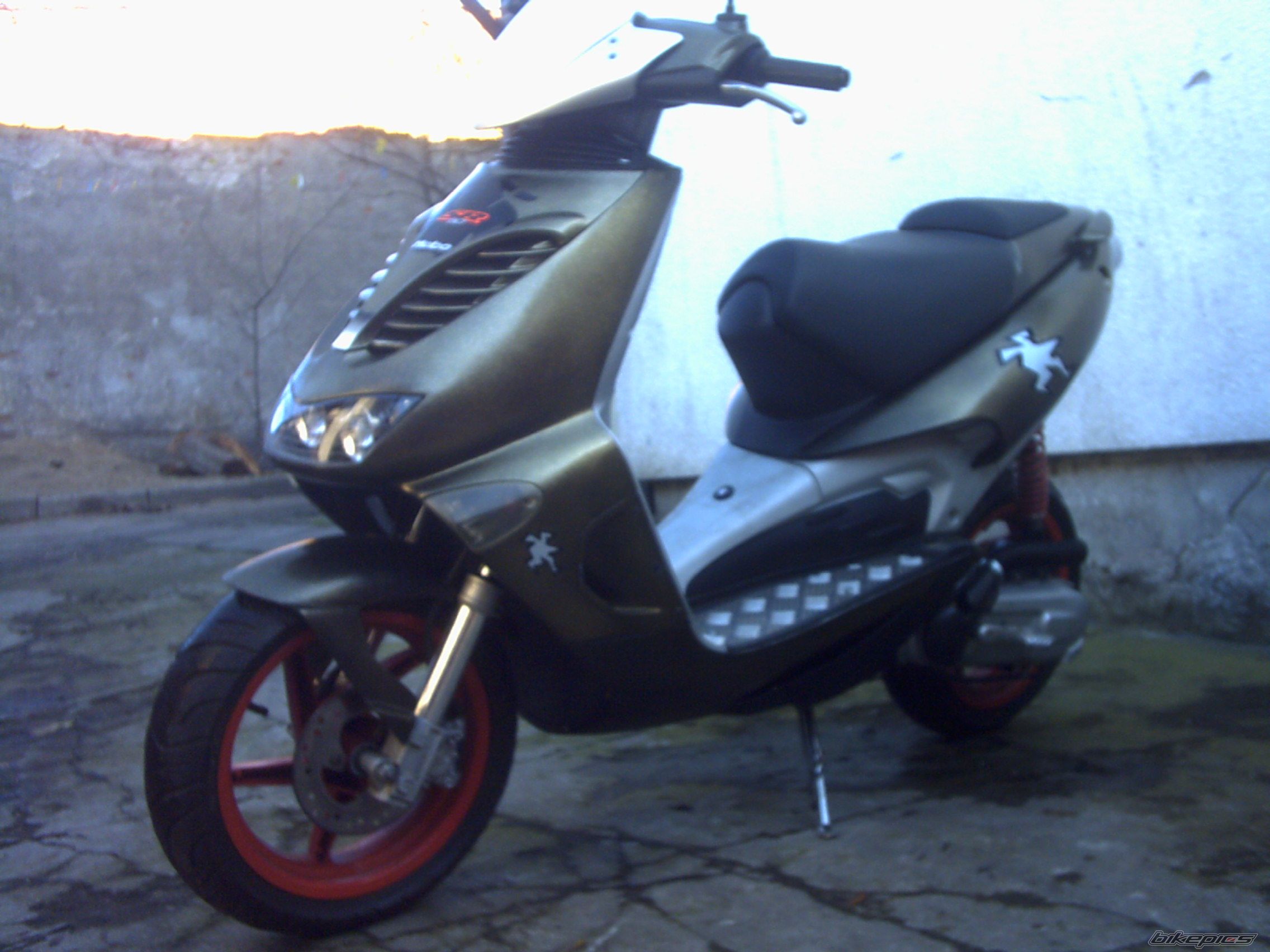 Photo 1076559