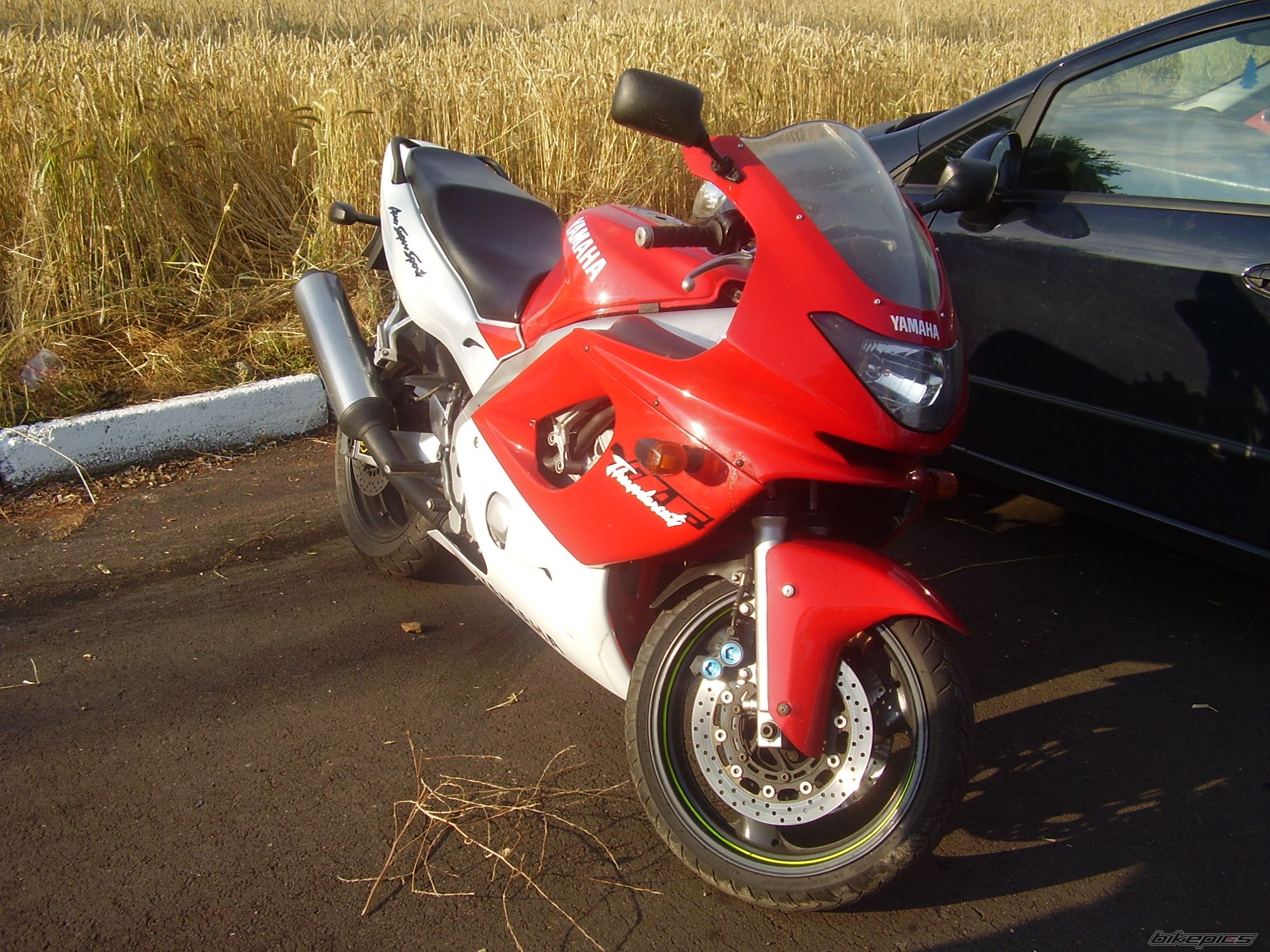 Photo 1076606