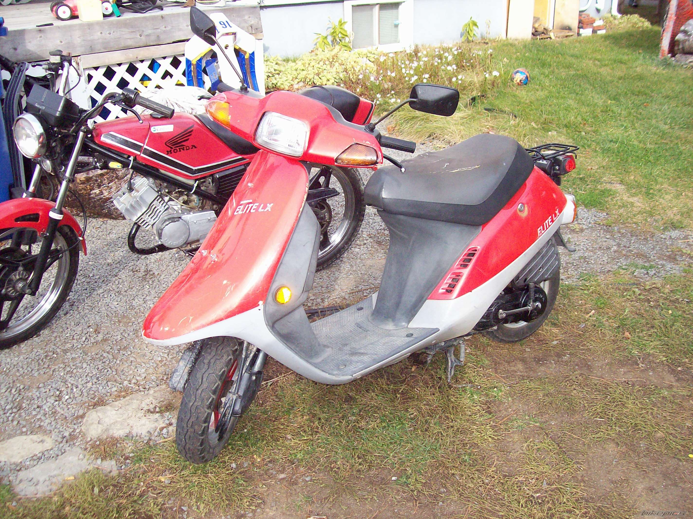 Photo 1076609