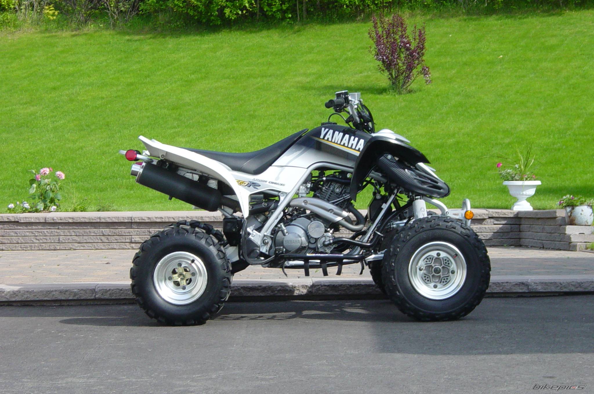 Photo 107666