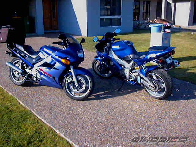 Photo 10769