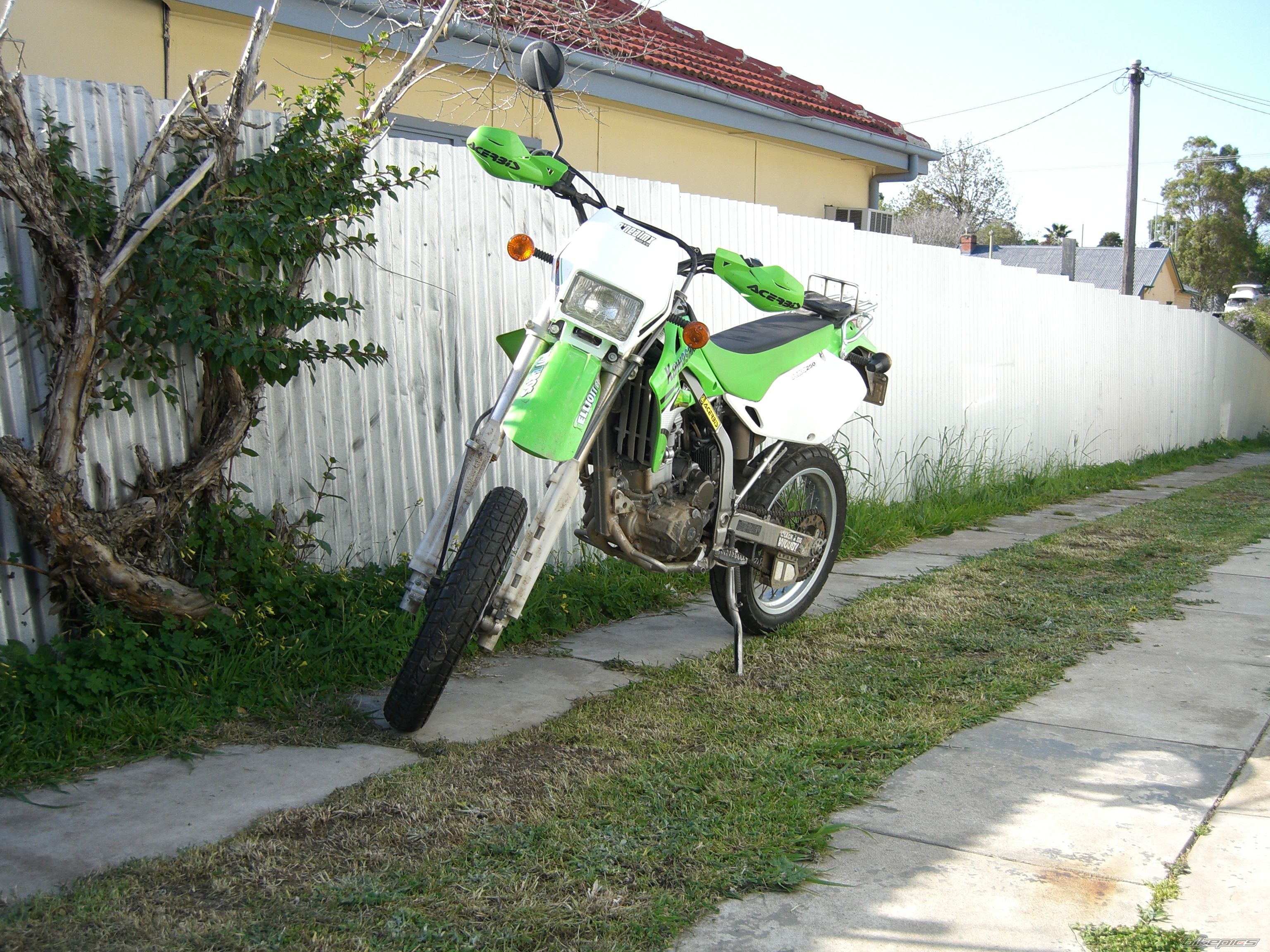 Photo 1076997