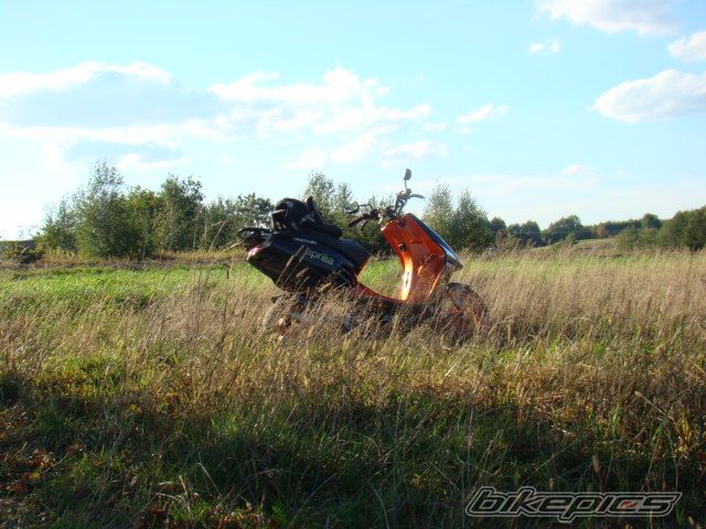 Photo 1077037