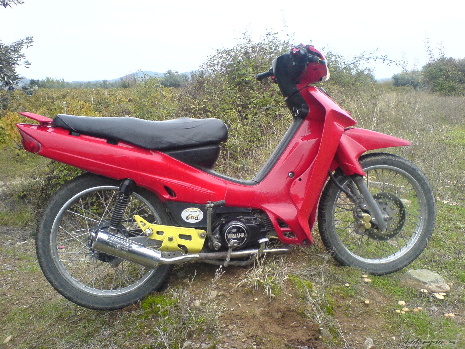 Photo 1077041