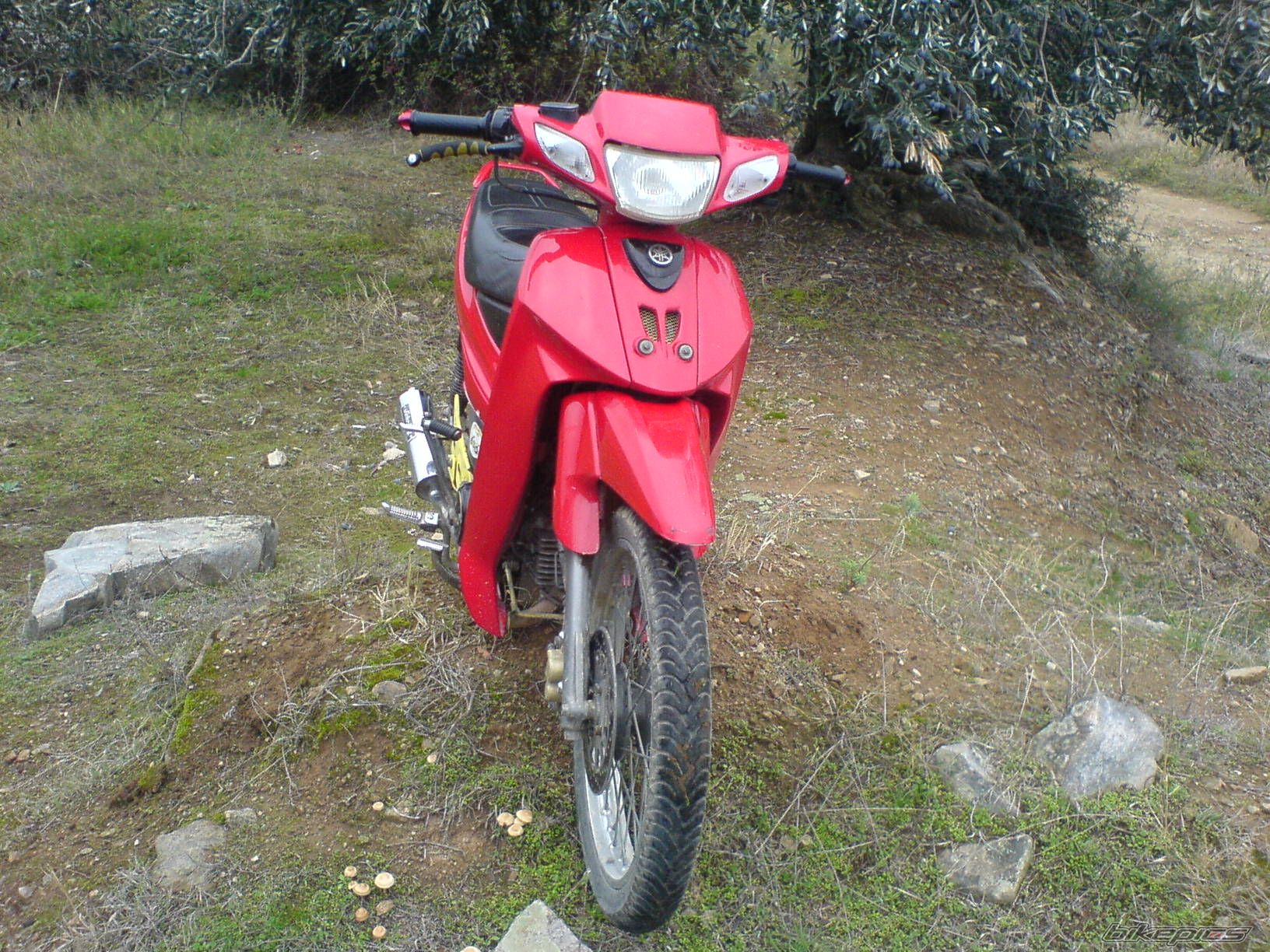 Photo 1077042