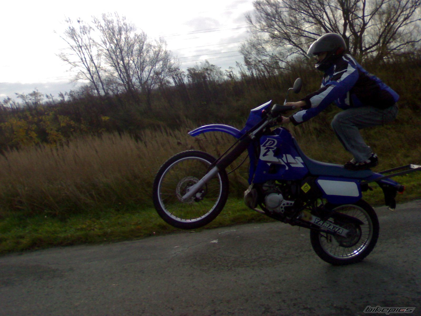 Photo 1077119