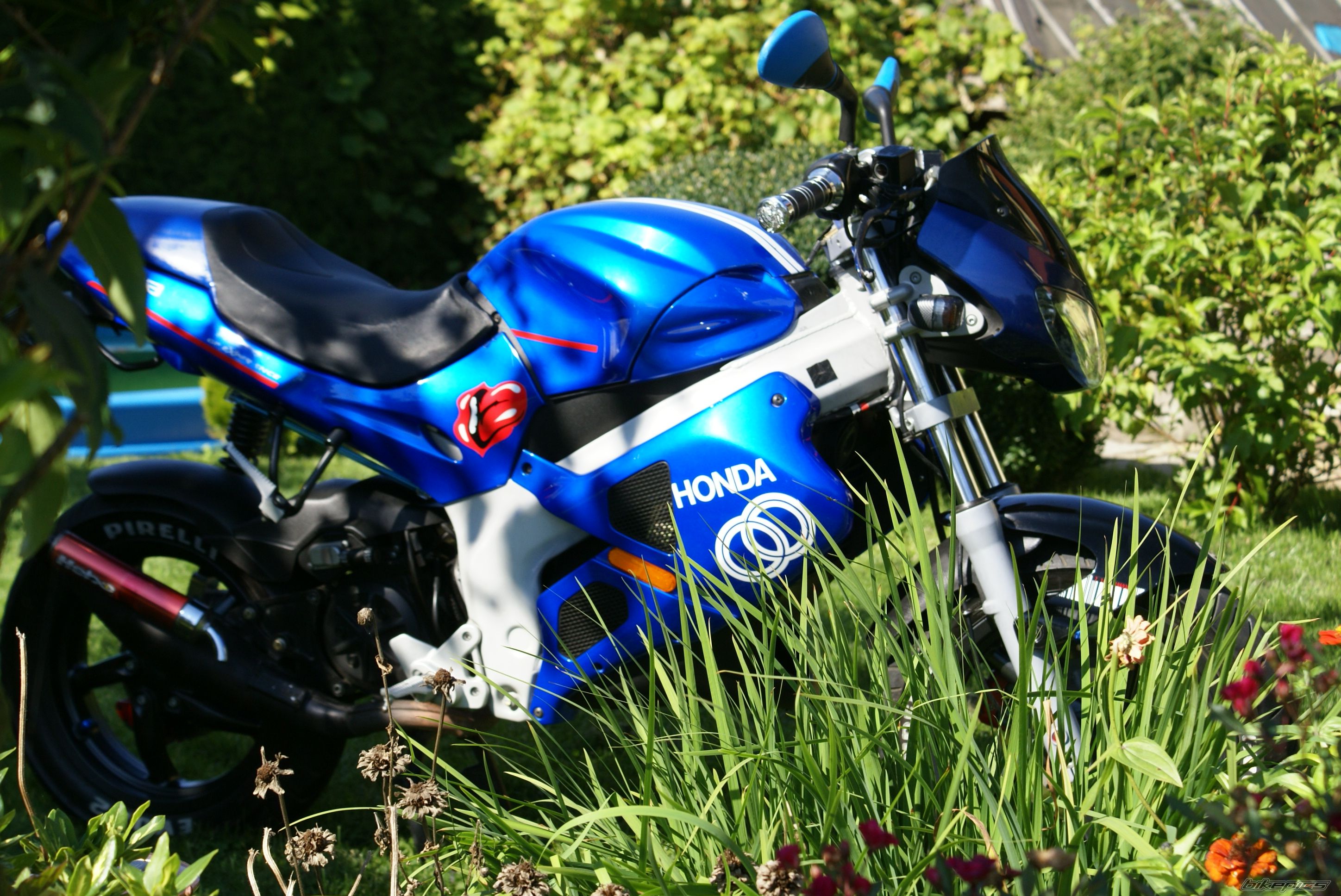 Photo 1077140