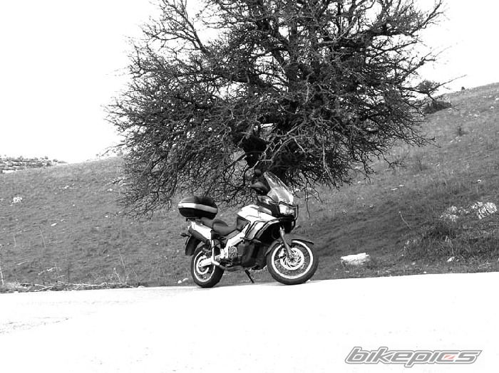 Photo 1077159