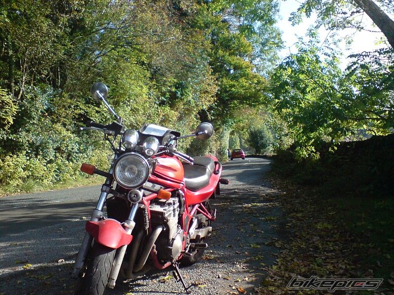 Photo 1077172