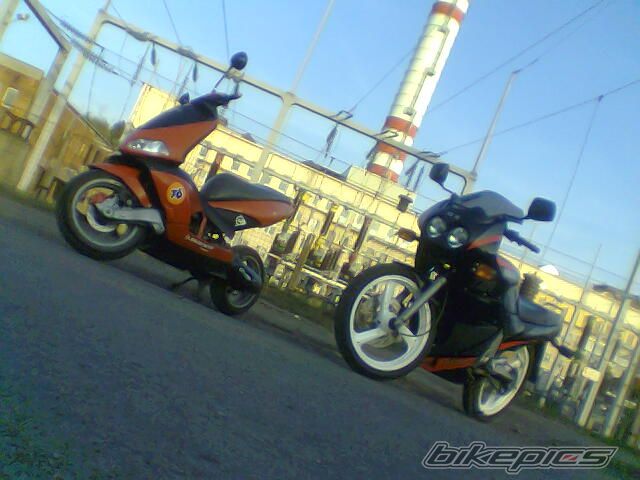 Photo 1077198