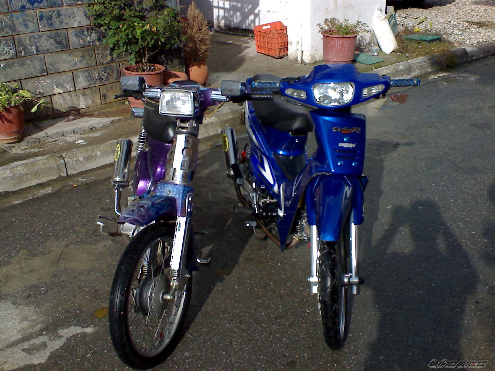 Photo 1077207