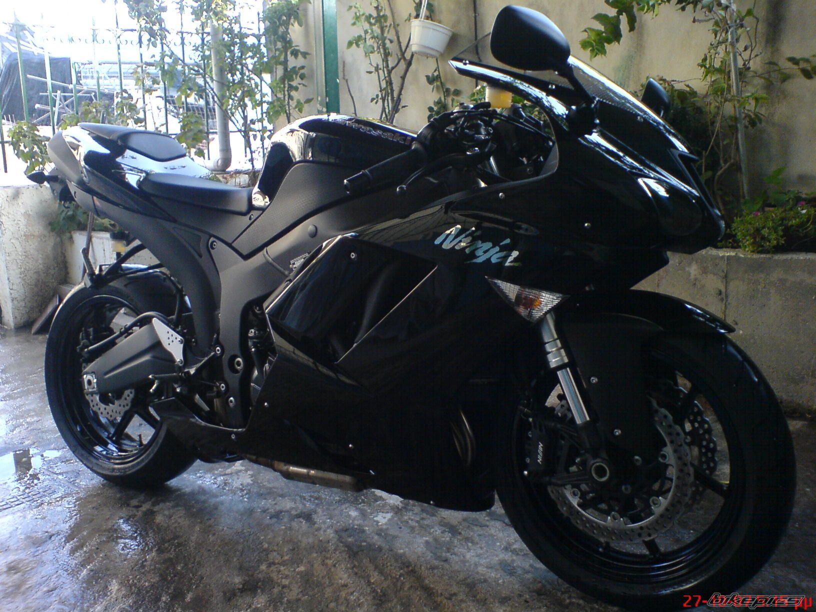 Photo 1077264