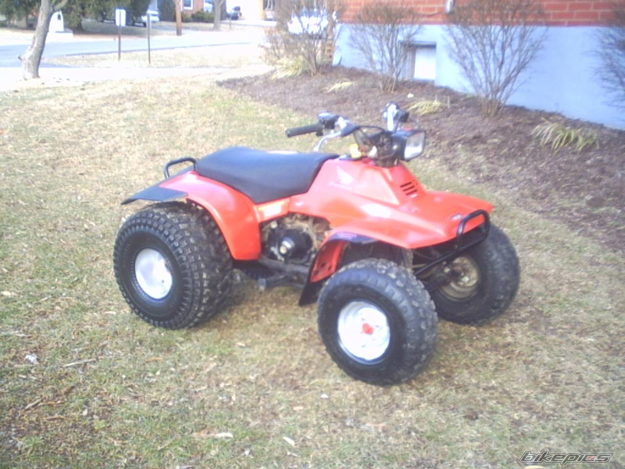 Photo 107728