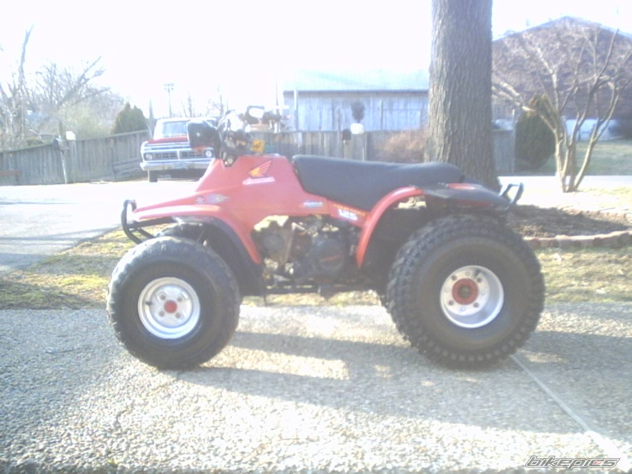Photo 107729