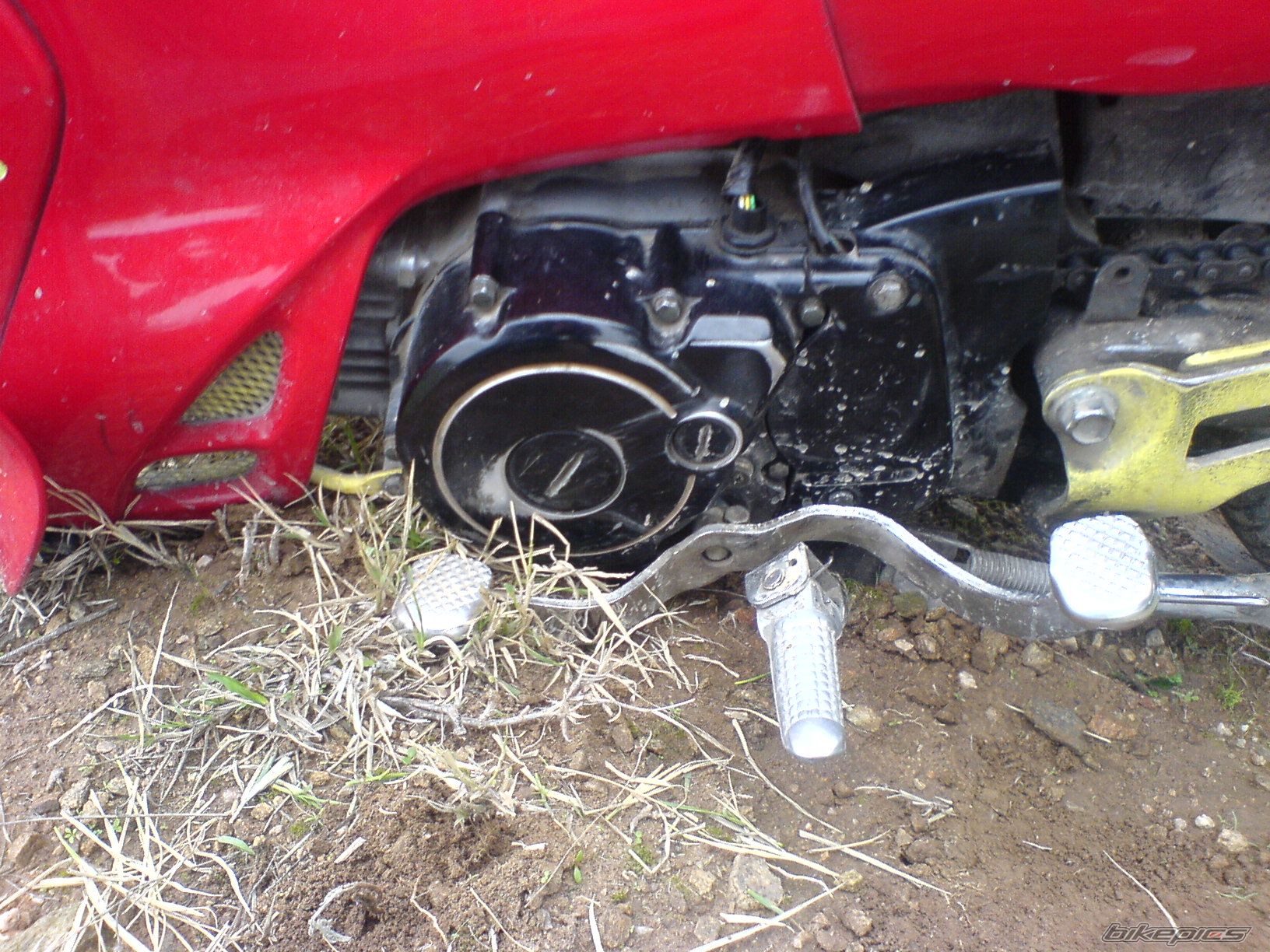 Photo 1077308