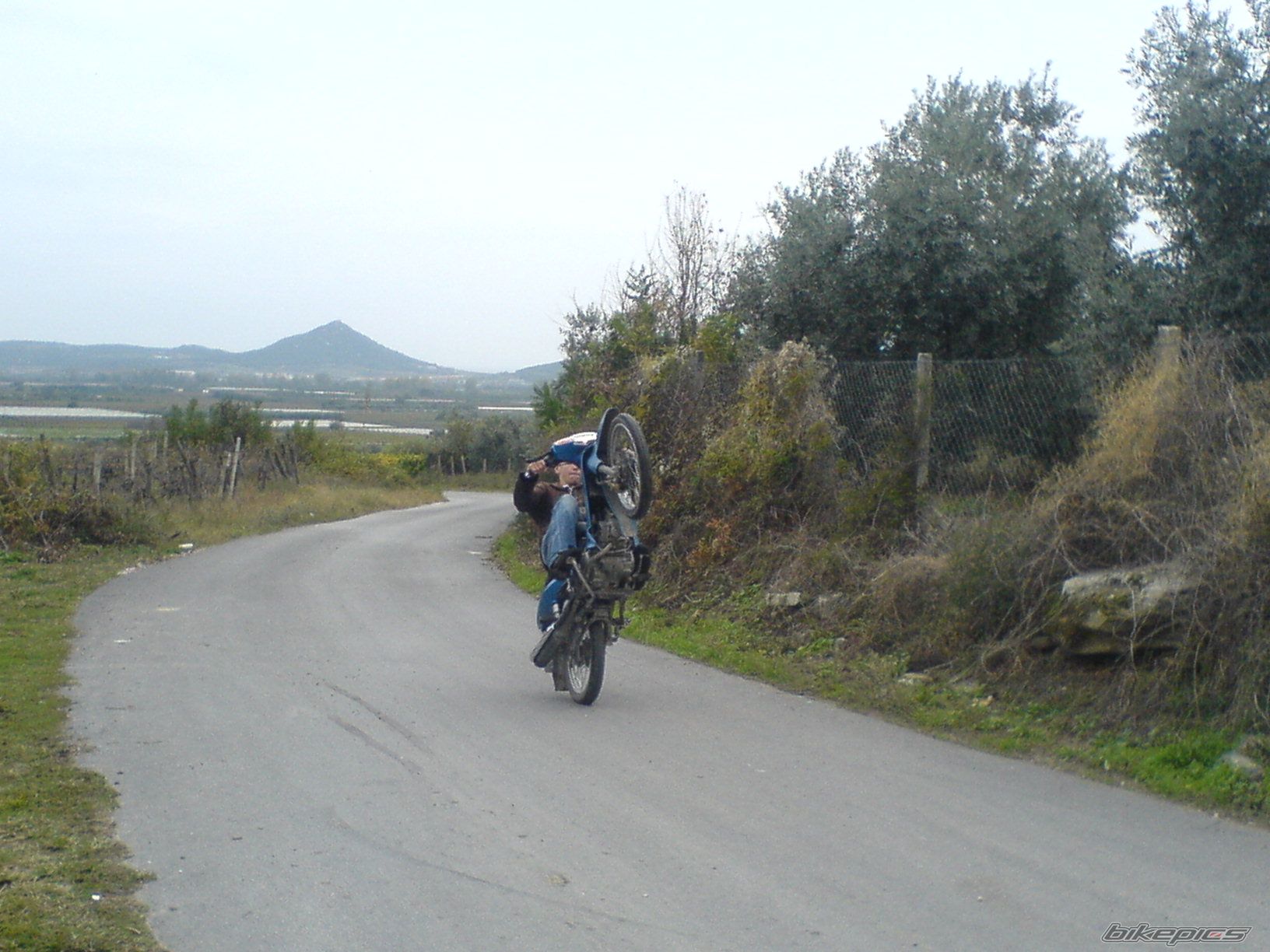 Photo 1077333