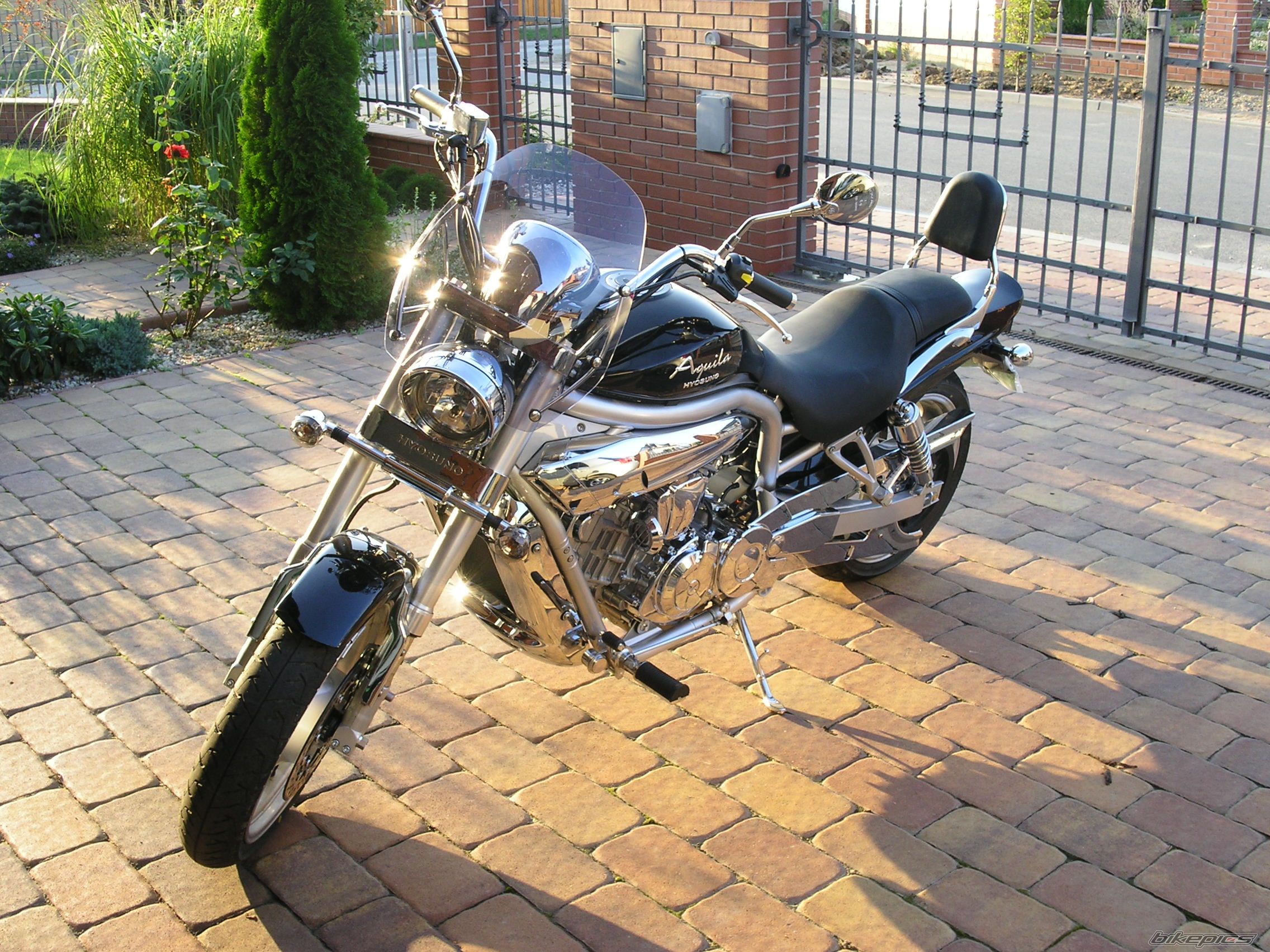 Photo 1077521