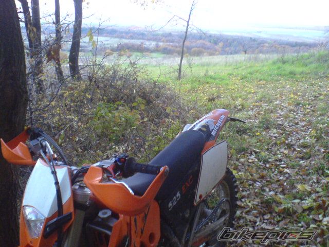 Photo 1077584
