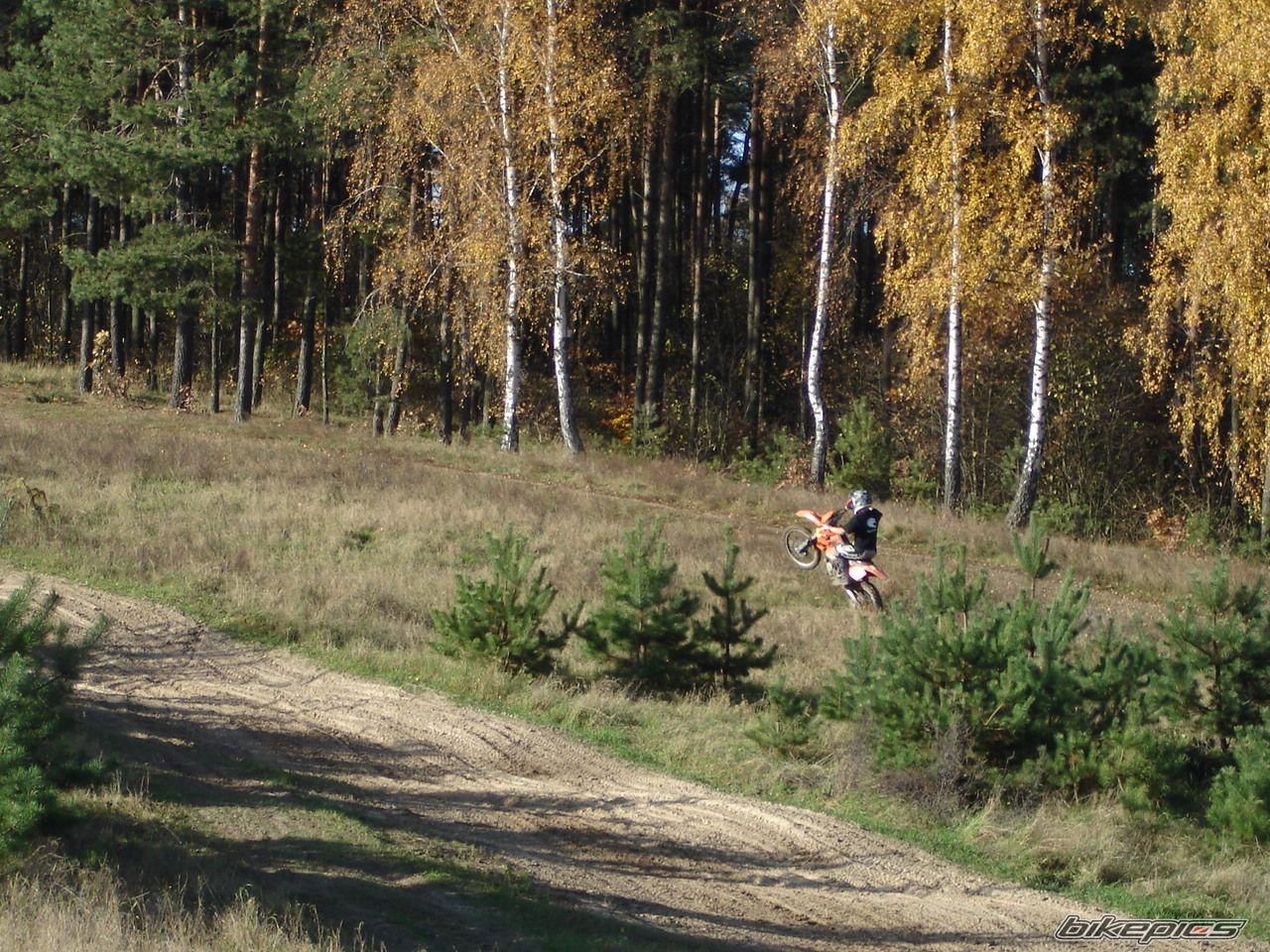 Photo 1077613