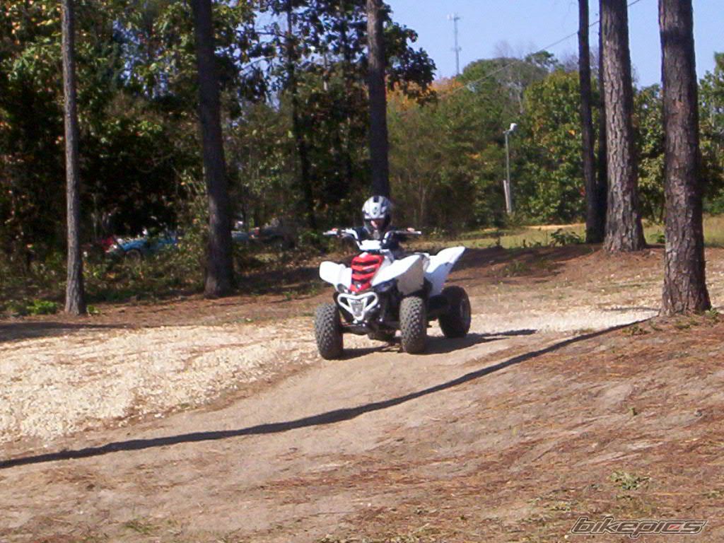 Photo 1077663