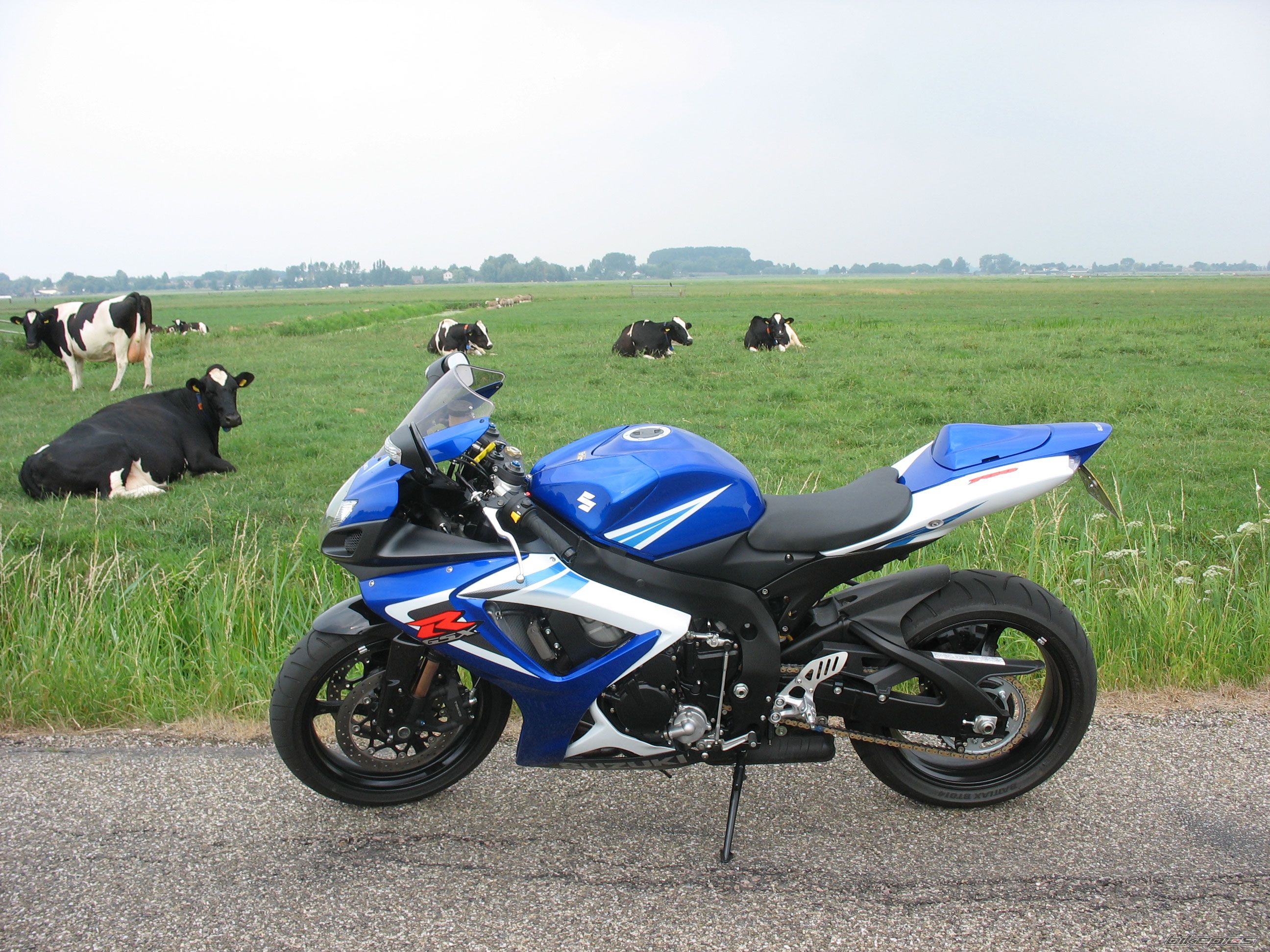 Photo 1077669
