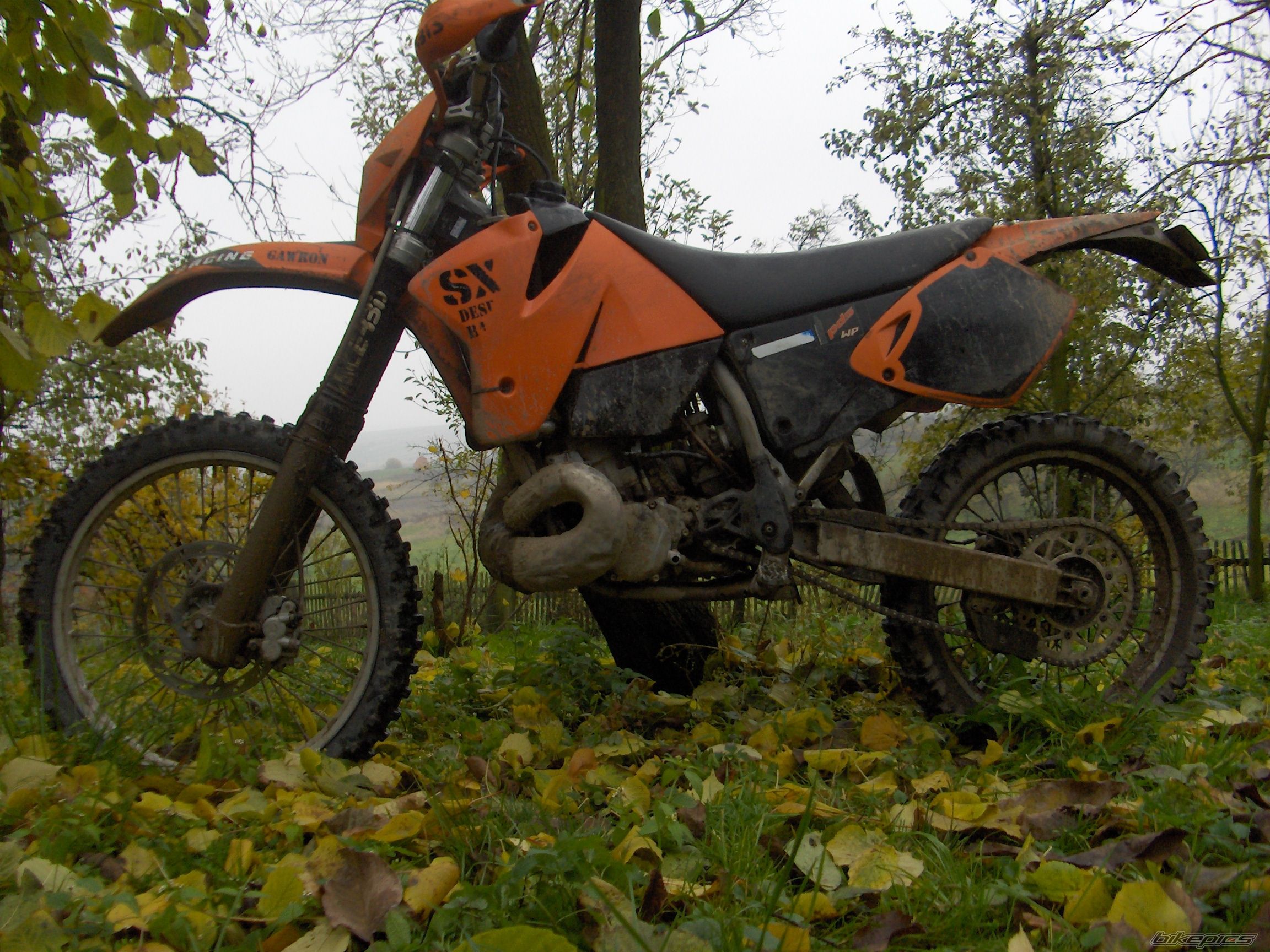 Photo 1077675