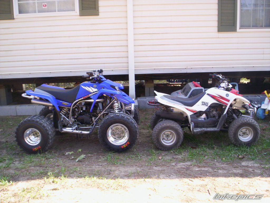 Photo 1077678