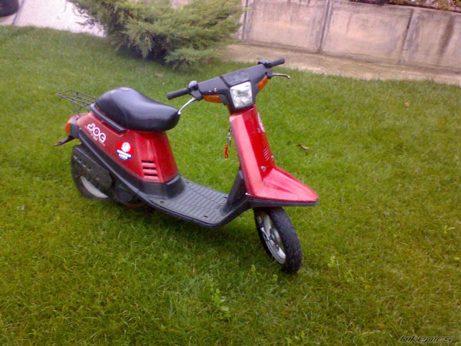 Photo 1077706
