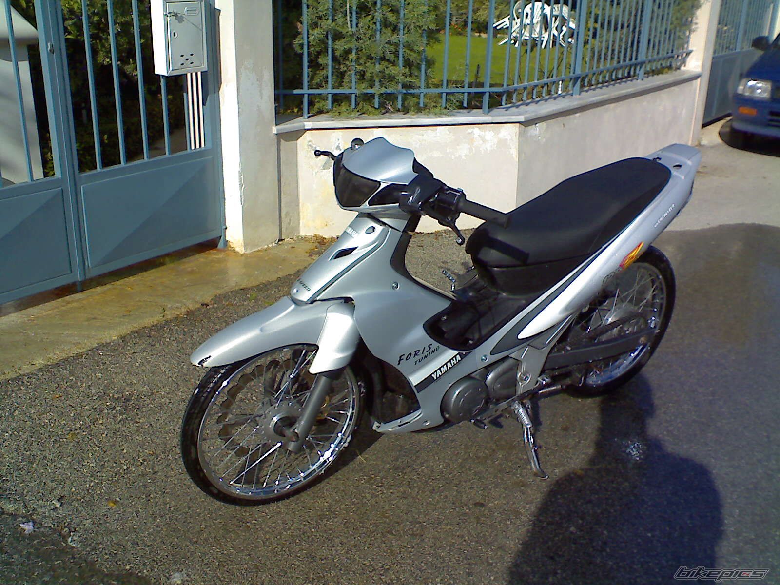 Photo 1077729