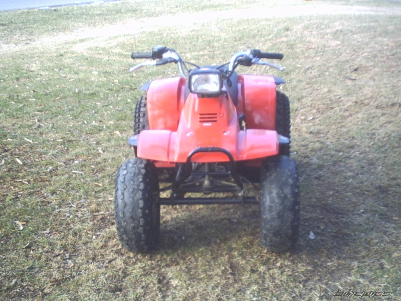 Photo 107774