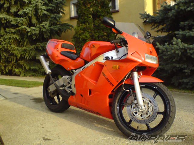Photo 1077767