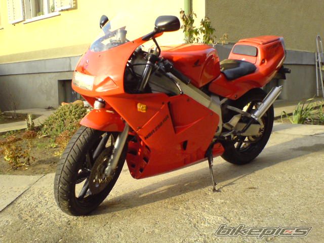Photo 1077768