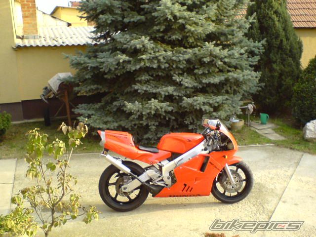 Photo 1077771