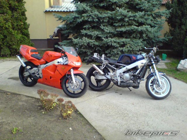 Photo 1077773