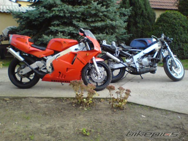 Photo 1077775