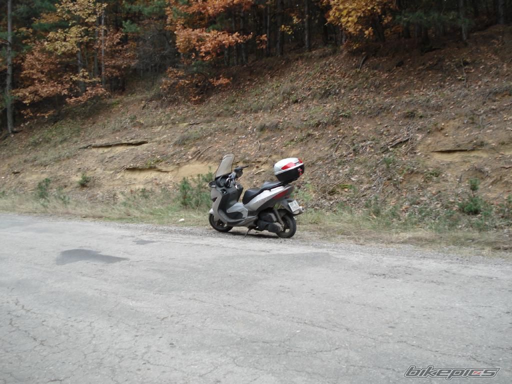 Photo 1077849