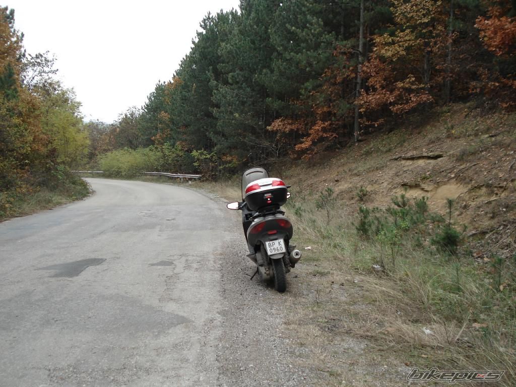 Photo 1077850