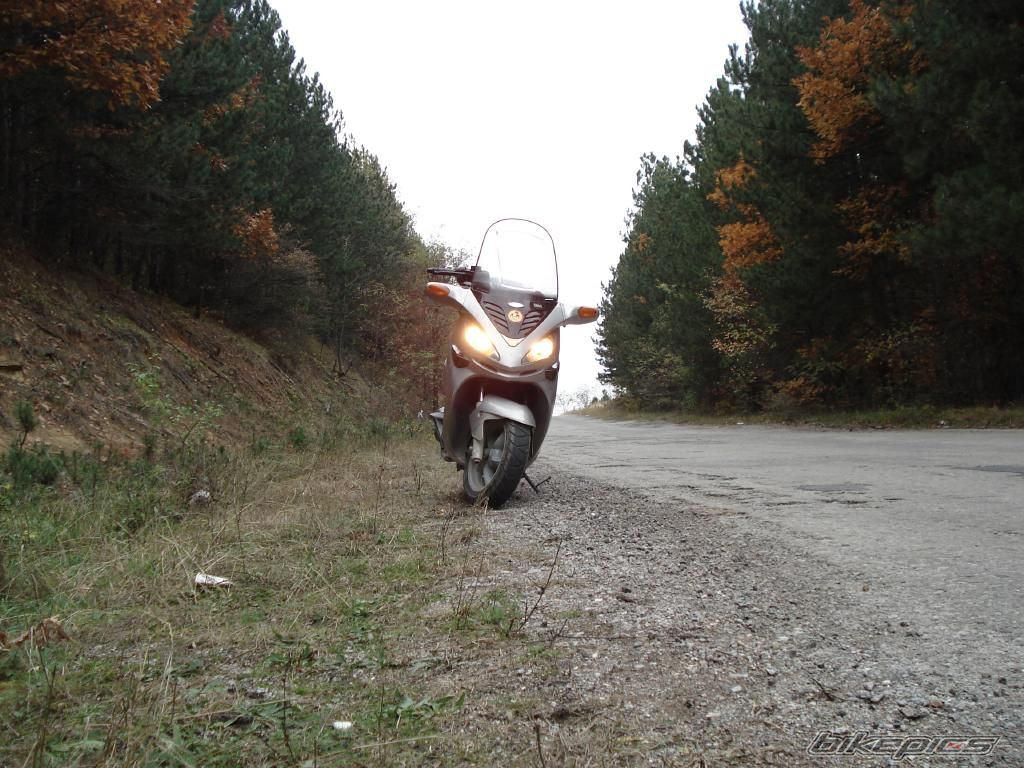 Photo 1077854