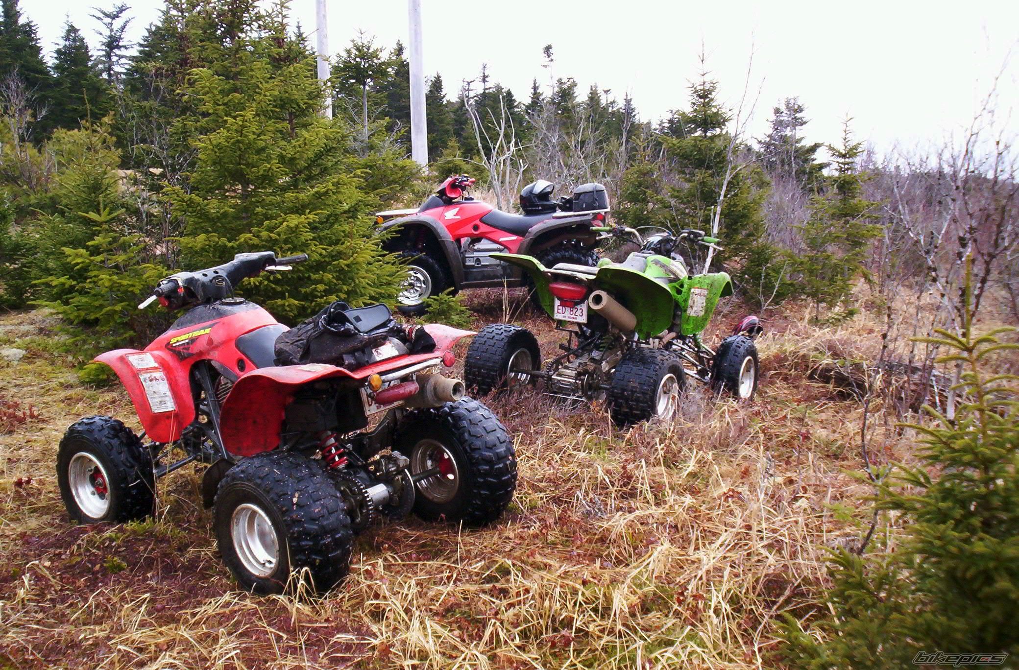 Photo 1077871