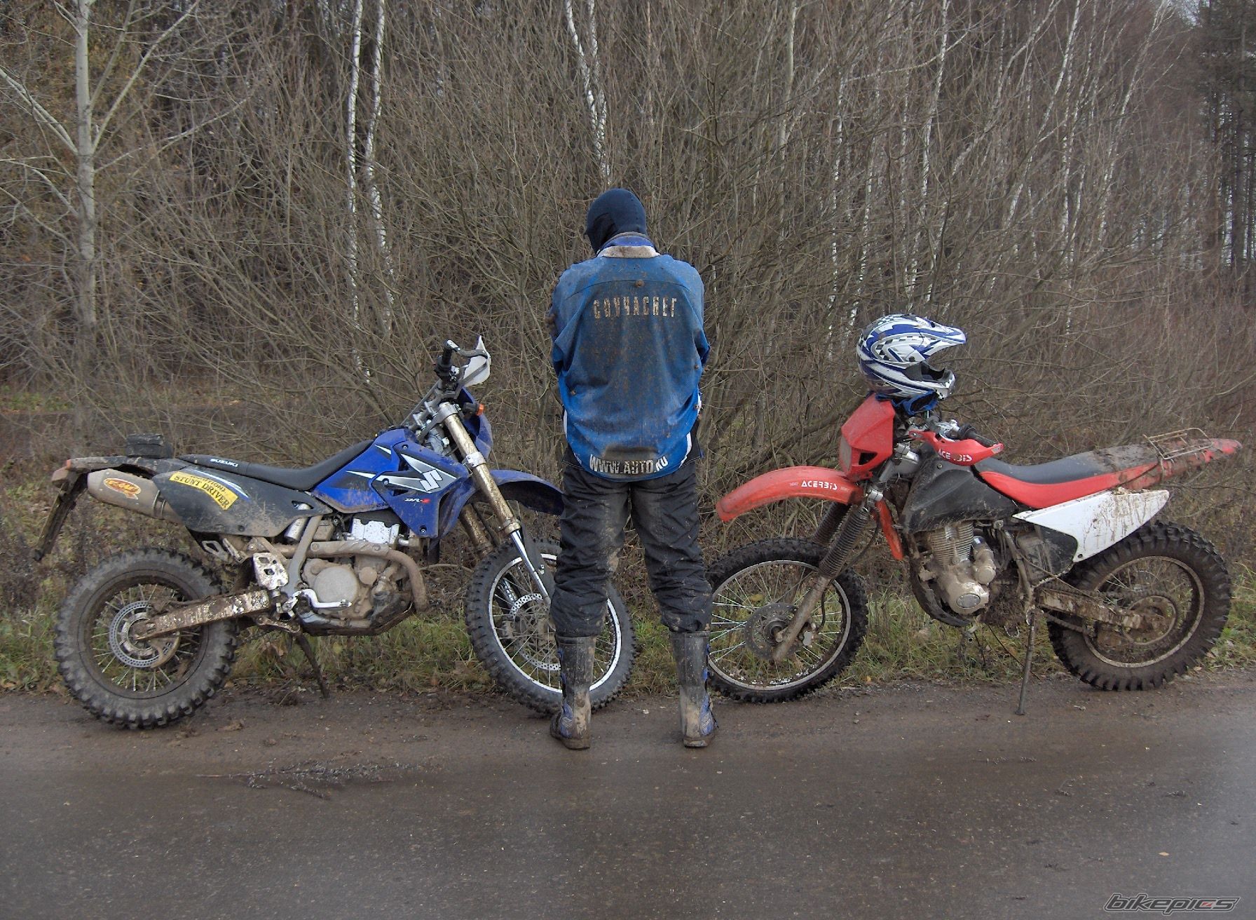 Photo 1077893