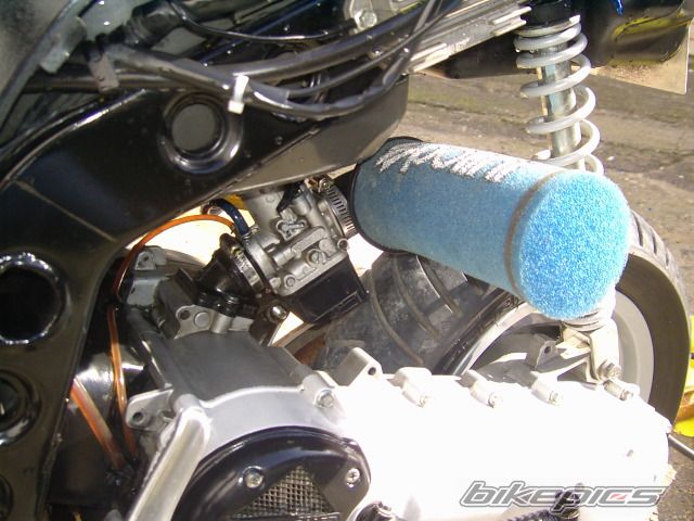 Photo 1077908