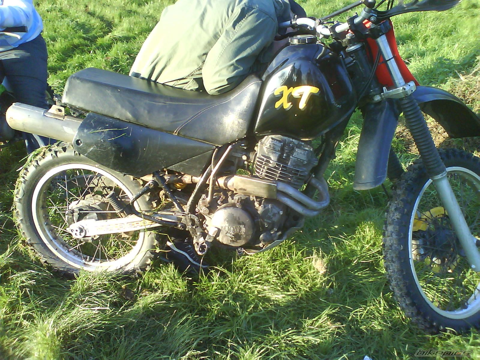 Photo 1078021