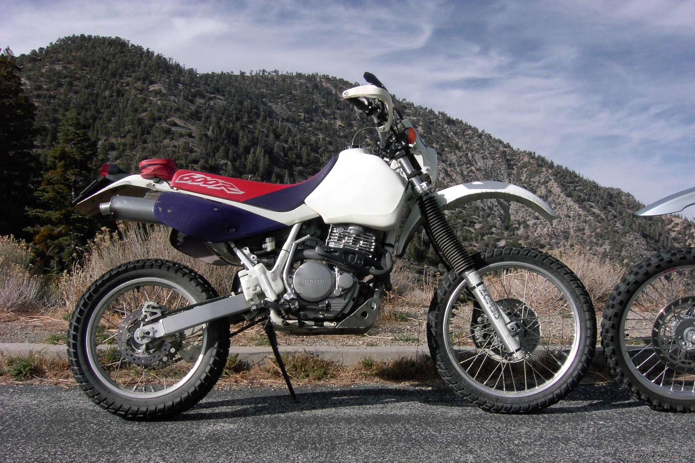 Bike Photo 1078057
