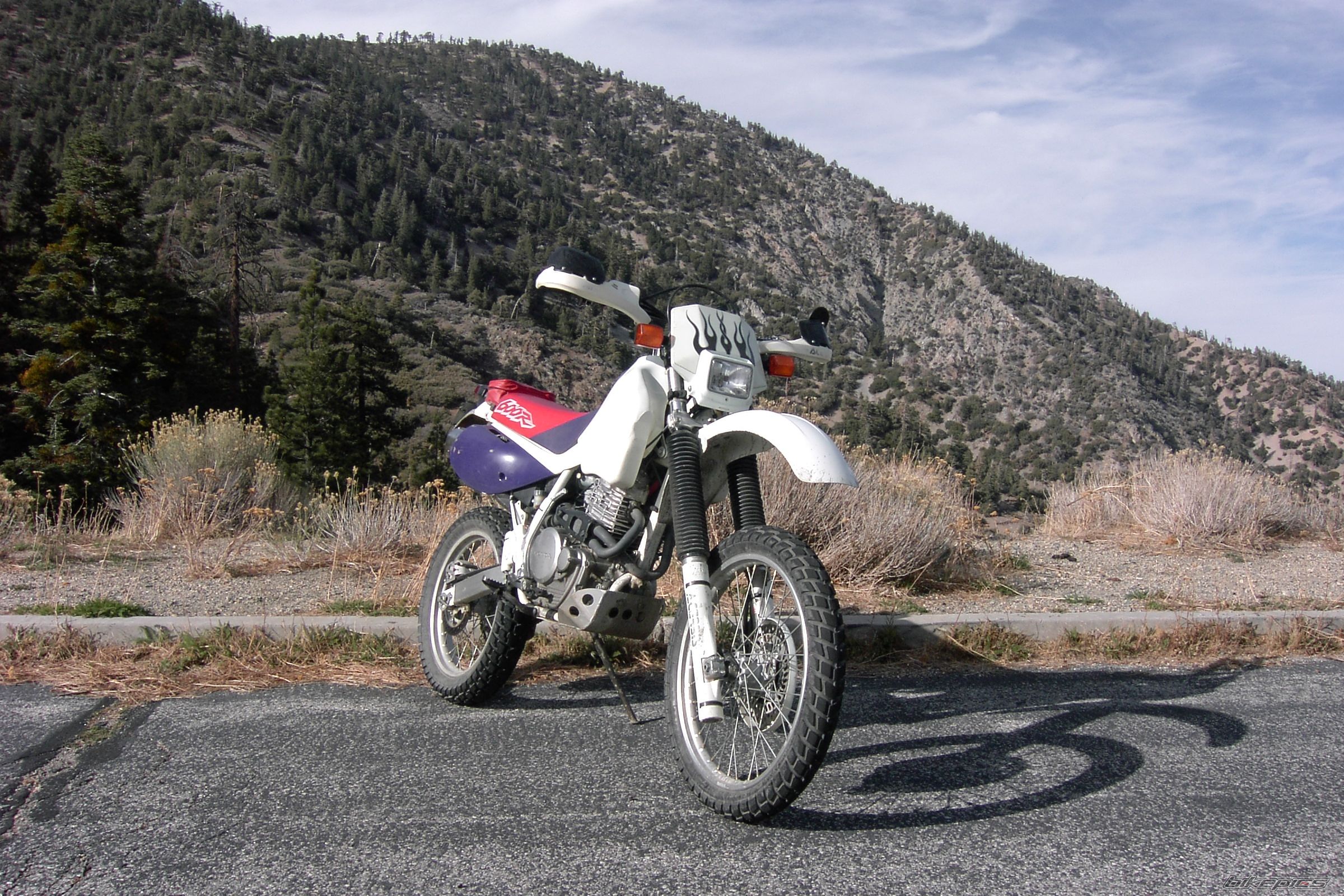 Bike Photo 1078059