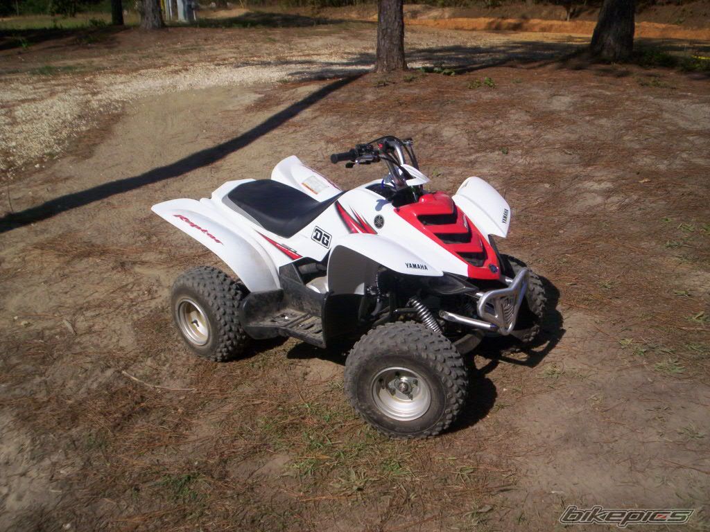 Photo 1078082